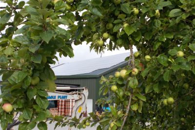 Sheppy's Cider and Farm Shop, Taunton